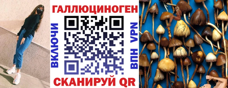 кракен как зайти  Трёхгорный  Псилоцибиновые грибы Magic Shrooms 